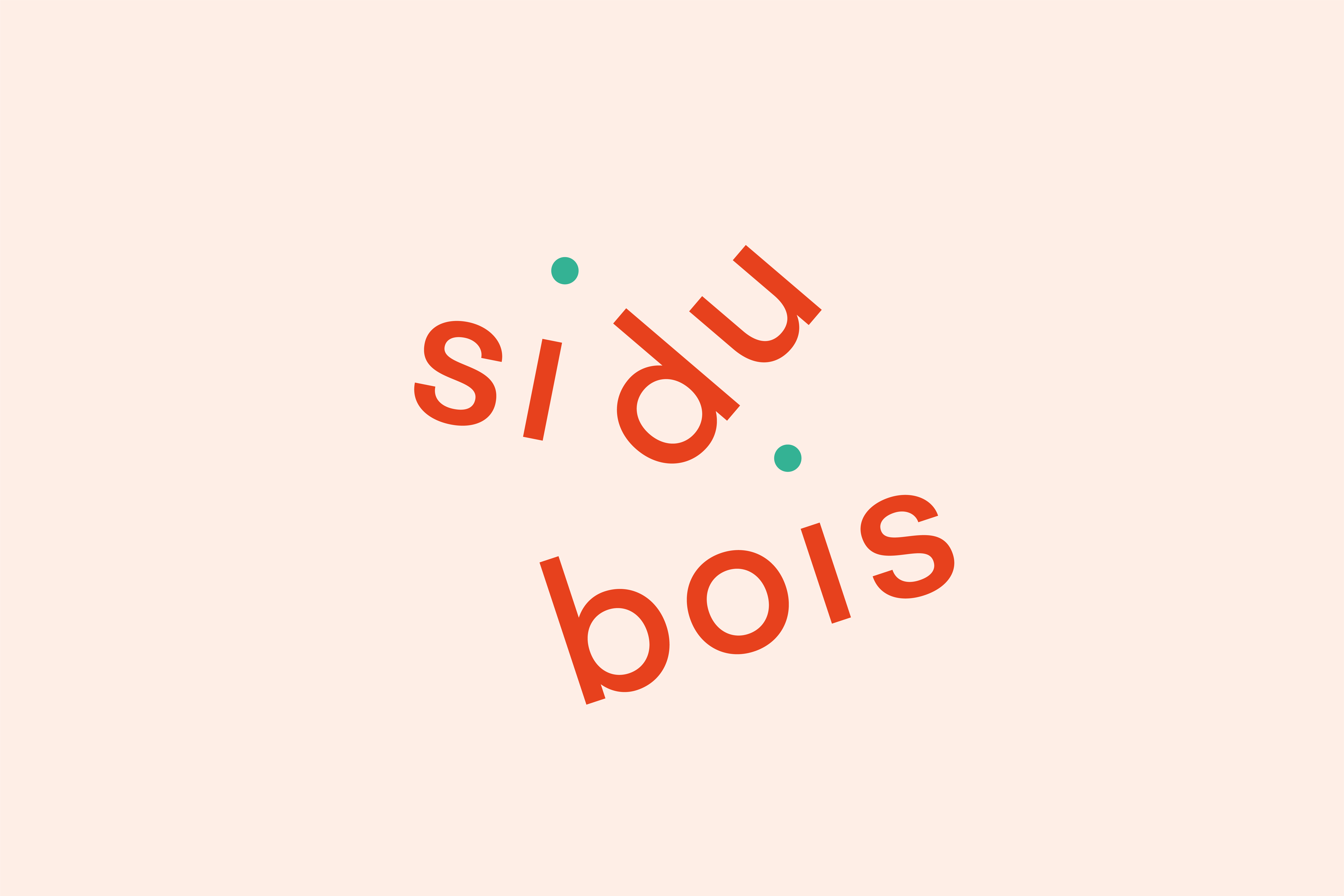 blandine dupas design graphique identite visuelle Sidubois logotype