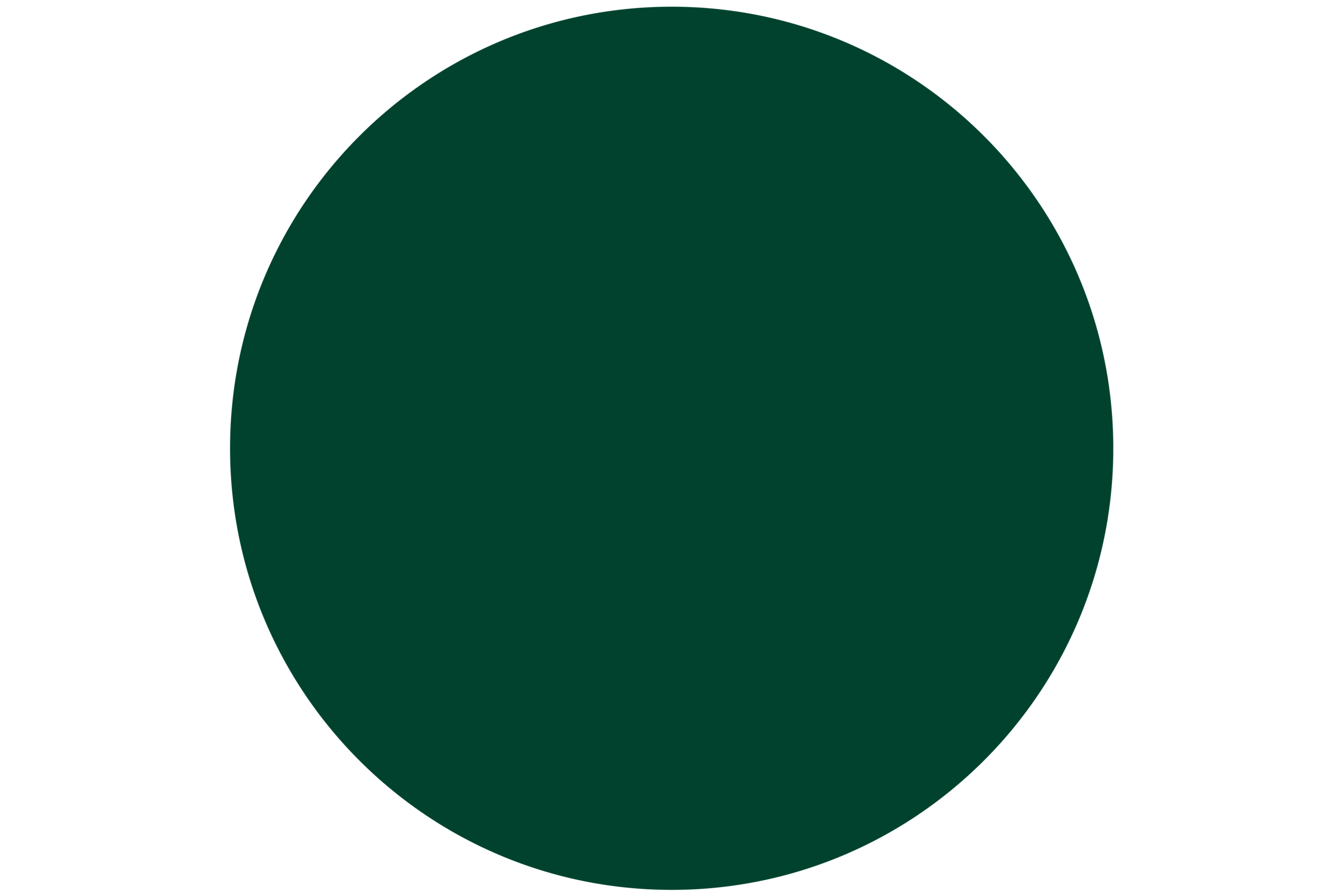 blandine dupas design graphique rond vert