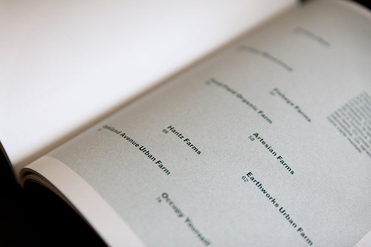 blandine dupas design graphique conception graphique du catalogue traversees detroit terres d hospitalites photo du sommaire detail trame risographie