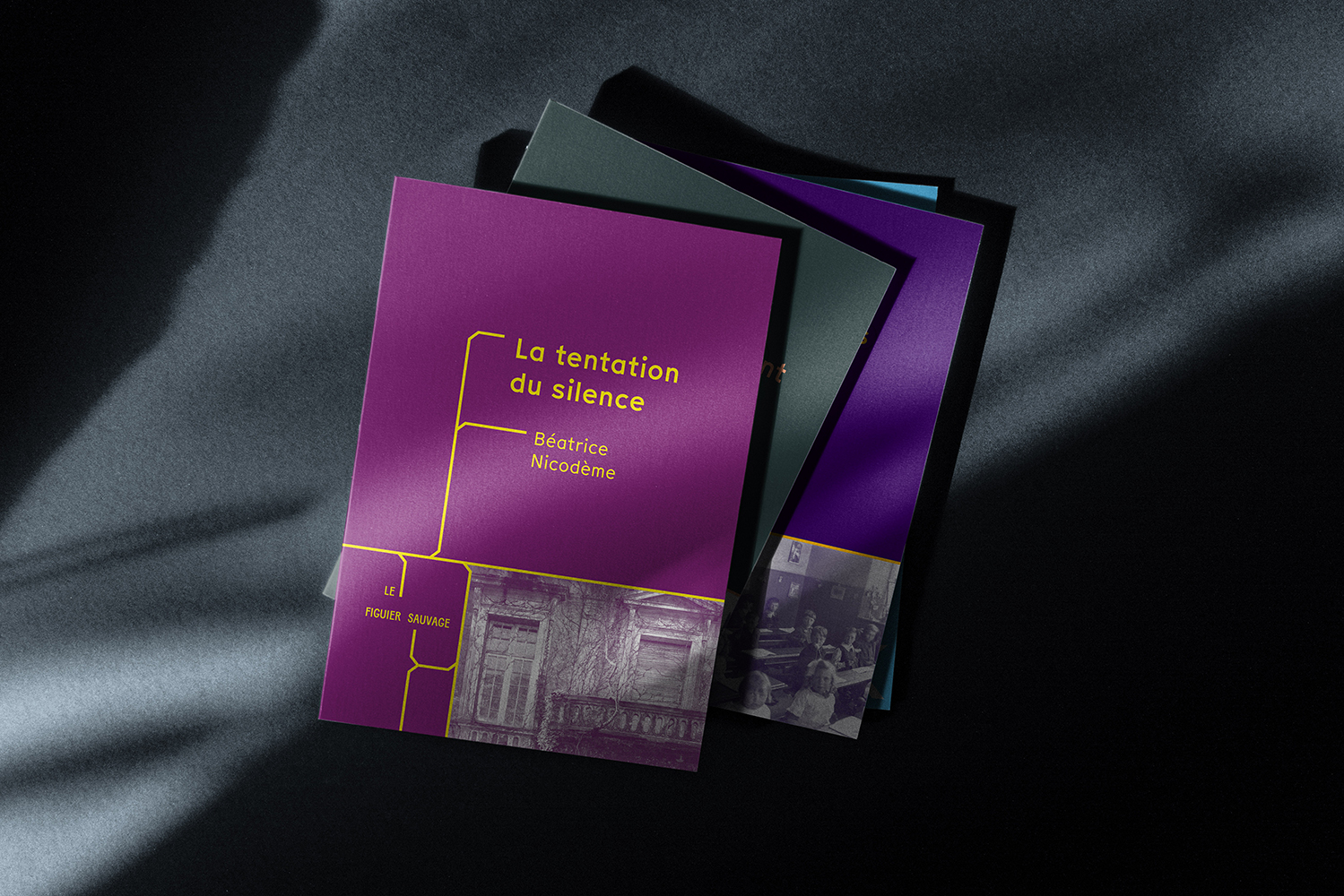 blandine dupas design graphique identite visuelle de la maison d edition le figuier sauvage photo pile de livres de la maison
