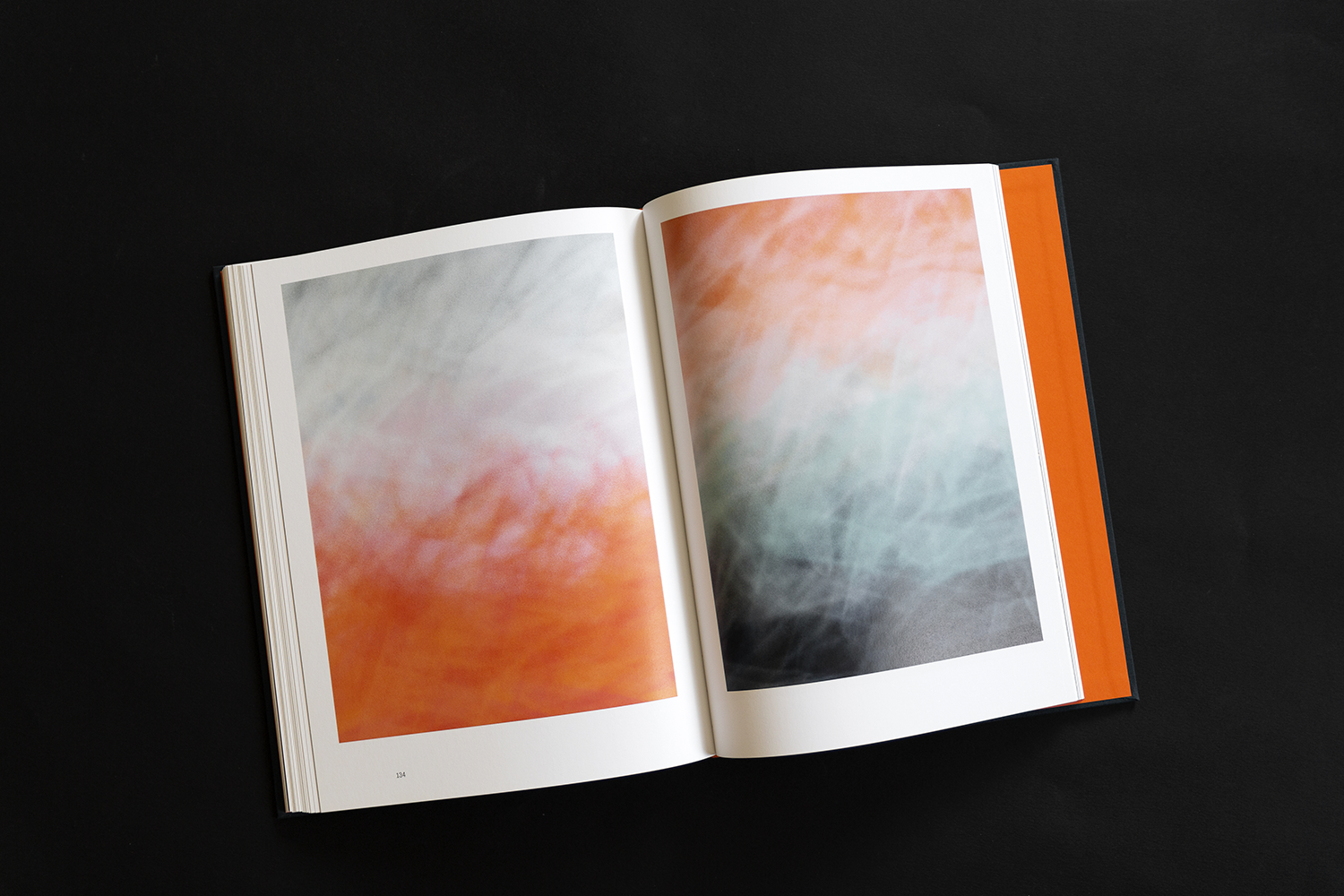 blandine dupas design graphique monographie Renk extrait livre double page sur oeuvres