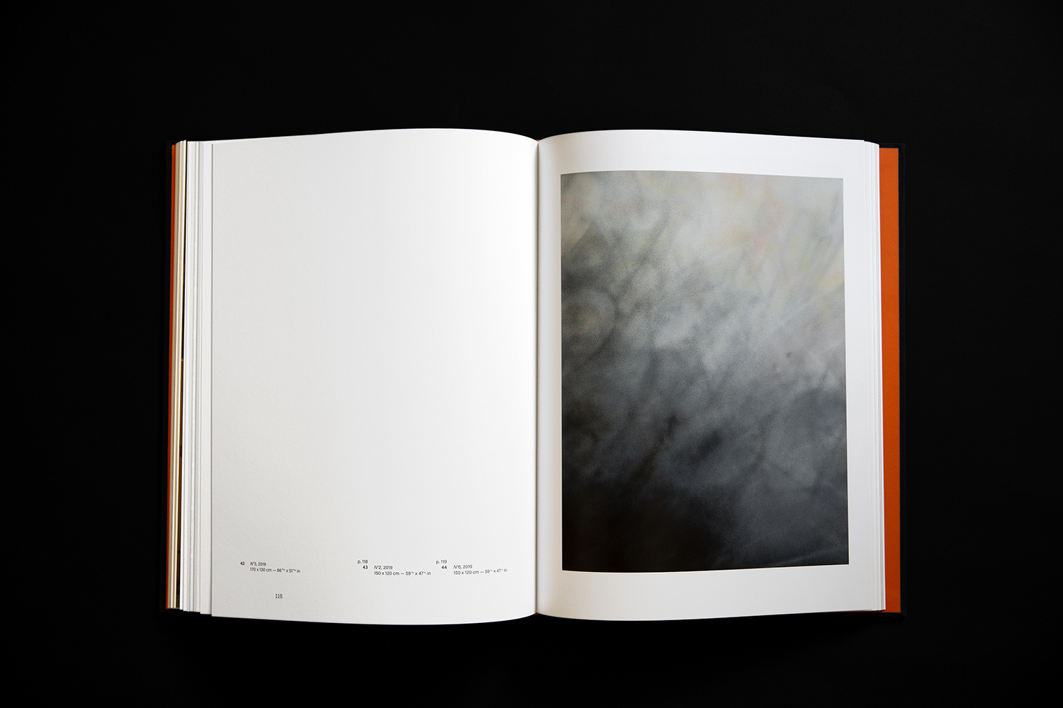 blandine dupas design graphique monographie Renk extrait livre double page sur oeuvres et legendes