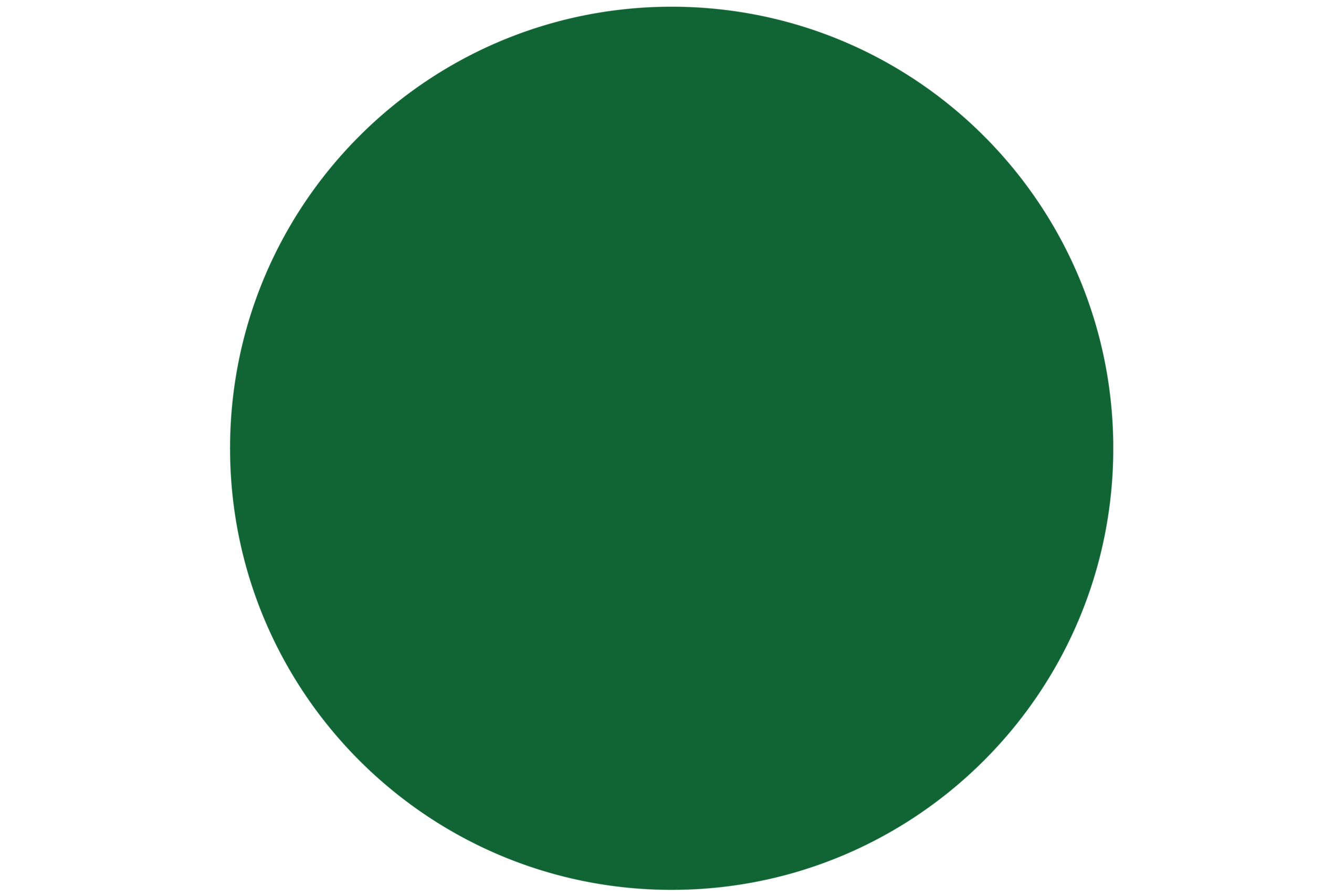 blandine dupas design graphique rond vert clair